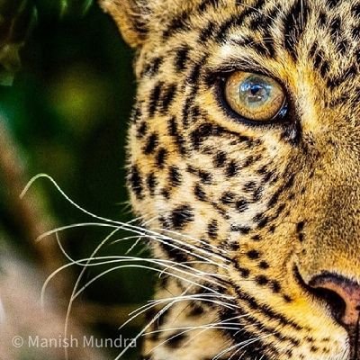 cryptoramesh56's profile picture. The most powerful is he who never has to display his power.