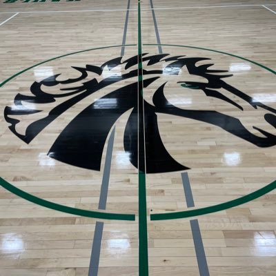 MV Mustangs Hoops Profile