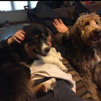 T (@t_goodie) 's Twitter Profile