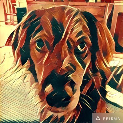 BillNBing's profile picture. Opinions are your own.