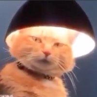 天一🔑 (@hfdaeott) 's Twitter Profile