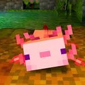 Axolotl Minecraft (@axolotlminecra1) 's Twitter Profile
