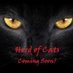 Herd of Cats (@catsherd) Twitter profile photo Herd of Cats (@catsherd) Twitter profile photo