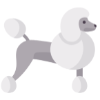 LitPoodle (@lit_poodle) 's Twitter Profile