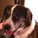 jenny pate - @Jennifer_P8 - Twitter