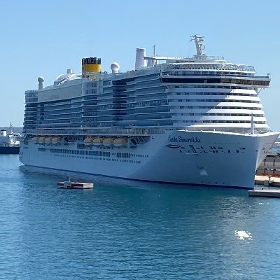 JuliaPfleger2's profile picture. 