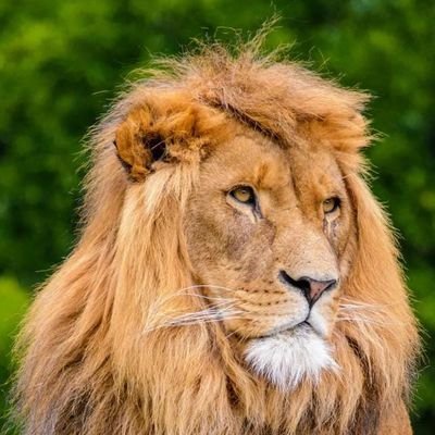 SyedAiz75014076's profile picture. study at Liaquat Foundation high school &
went to Punjab group of colleges
currently, studying in UET Lahore

📱: 0344-4132390