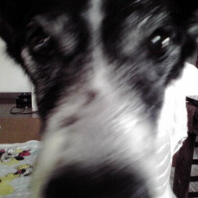 かよのすけ Cayonosuke Twitter かよのすけ Cayonosuke Twitter