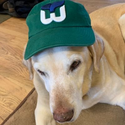 JustNuisanc's profile picture. 