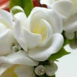 AaliSha34432005's profile picture. ہم ہیں تو کیا غم ہے