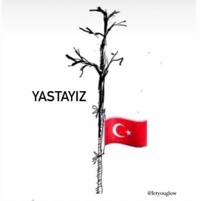 ÇÖZÜM ORTAĞI / GAYRİMENKUL DEĞERLEME / UZMAN / EKSPER