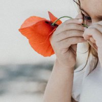 pia'ya umut ol (@piaates) 's Twitter Profile