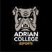 Adrian College Esports (@AdrianC_Esports) Twitter profile photo