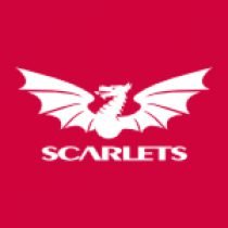 FuckTheScarlets Profile