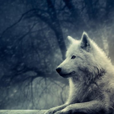 YFotboll's profile picture. Bad fortnite player