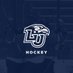 Liberty Hockey (@libertyhockey) Twitter profile photo