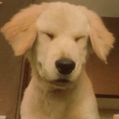 Yare_lu_'s profile picture. 🥰🖤