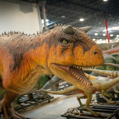 We make animatronic dinosaurs🦕, giant bugs 🐝, and ancient predators🦈 for museums, zoos, and theme parks! We are also open 7 days a week for tours!