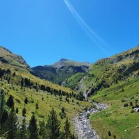 Silvia De la Flor🌺 (@silvia38853384) 's Twitter Profile