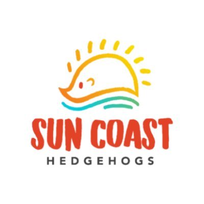 Fun, sunshine & quills! Sun Coast Hedgehogs is your go-to USDA licensed breeder for adorable, friendly & healthy hedgies! | #SanMarcoJax | We Ship 🇺🇸