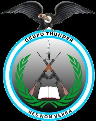 Lic. En seguridad, servicio comunitario y etica.
Lic. En criminalística y criminología. Director de Grupo Thunder.
Docente/instructor civil-policial-militar