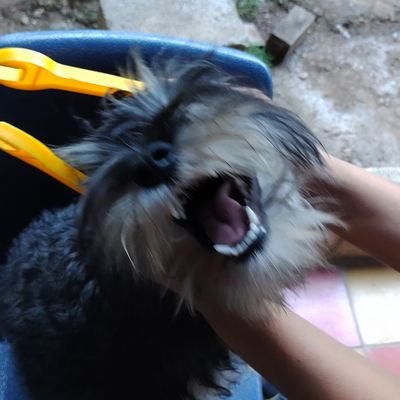 #GUA 👊Twitter todo lo aguanta. Hay vida después de FB. Escucho música de los 90's. Es mejor reír, que llorar. Para lo demás, mejor pelenme la....