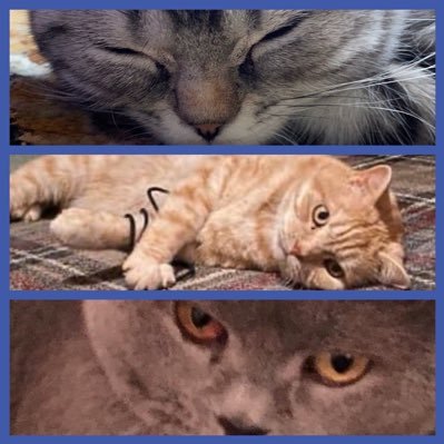 lettiemac's profile picture. 