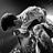 sebastianfascie's profile image