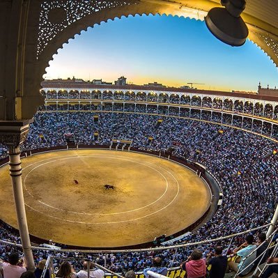 Crónicas taurinas. @desdelandanada en instagram.  Escribo en https://t.co/o9vTweKTZf