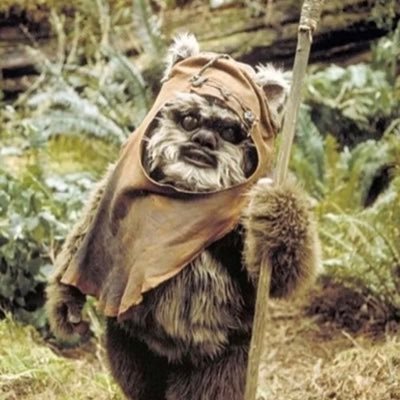 Ewok Travels