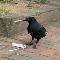 ma ma (@jhyeon_777) 's Twitter Profile