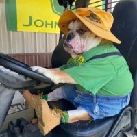 Jizzy Mike (@23jof) 's Twitter Profile