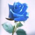 M. Lou Nesson (@blourose113) Twitter profile photo M. Lou Nesson (@blourose113) Twitter profile photo
