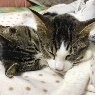 pxLwJqUqQesTE82's profile picture. 