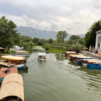 FlorentNorma's profile picture. 