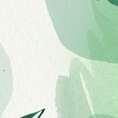 MoMay06's profile picture. 