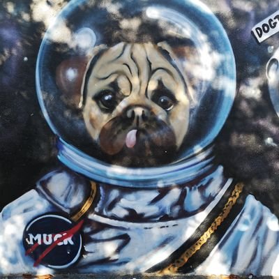 Space__Pug Profile Picture