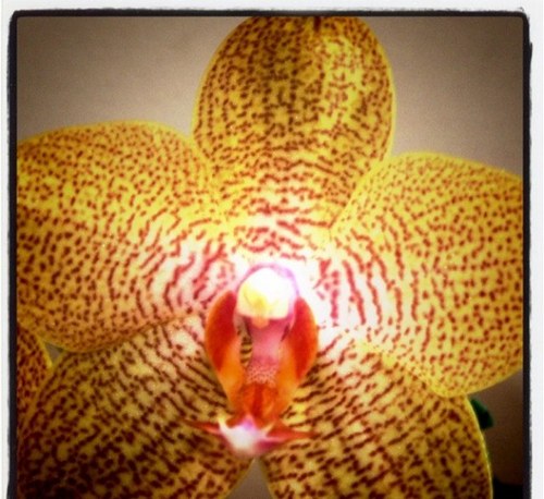 wickedNwise's profile picture. I love music & I love life -- nuff said. Donate to the Canadian Cancer Society #CIBCRunfortheCure! . https://t.co/Ewq7EMbDth