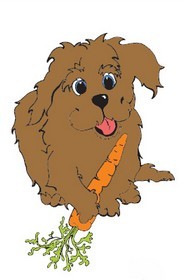 All natural dogs food supplement to assist in pet diarrhea and digestion.  Our 100% dehydrated carrots are an excellent source of vitamins and fiber for dogs.