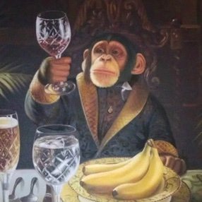 I use this account to keep track of memes and improve markets. Cheers! #foldingathome #GME #Banano