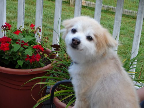 linkedforlife's profile picture. 