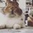 うさぎのまりな🐰のアイコン