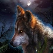 EclipsedRequiem (@eclipsedrequiem) 's Twitter Profile