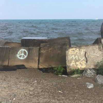 islandsofmyself's profile picture. make me invincible, invisible, or braindead