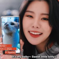 daily it's my baby sweet little kitty(@bbyswtlilkitty) 's Twitter Profile Photo