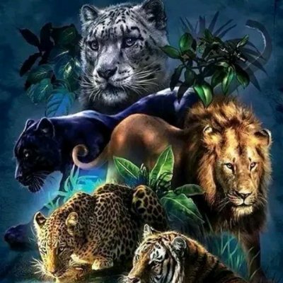 motivation to success quotes,inspiring quotes about success
My blogs https://t.co/fO6hjSmaNK