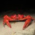 カニの散歩道Crabs' Promenade (@crabspromenade) Twitter profile photo カニの散歩道Crabs' Promenade (@crabspromenade) Twitter profile photo