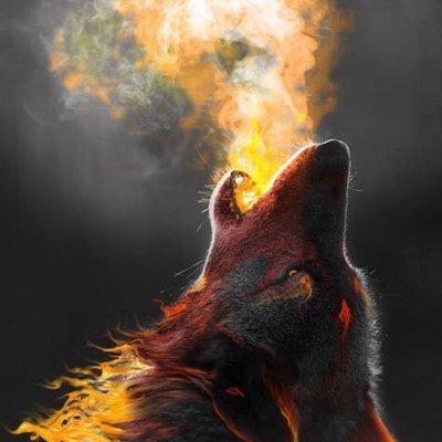 Francis_big01's profile picture. 自我介绍写一大堆的人，基本是骗子。