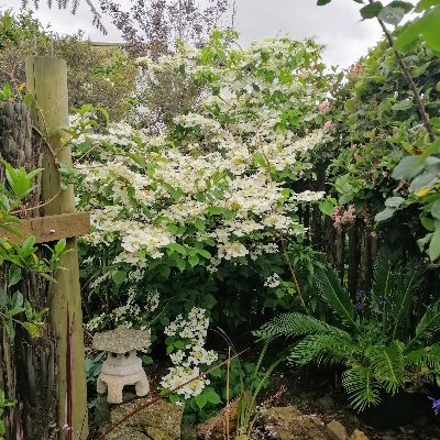 Ptamaxx's profile picture. Escaped the faecebook asylum.
Here for the witty comments and the lols.

Bike, garden, react to BS