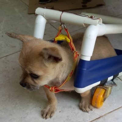 Tnh95729066's profile picture. nice to meet you